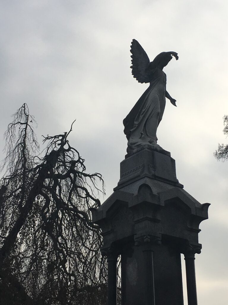 Angel_Crown Hill