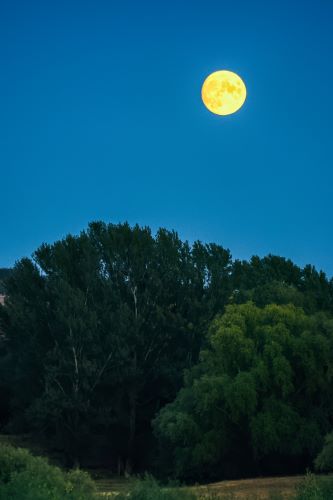 full-yellow-moon-blue-sky