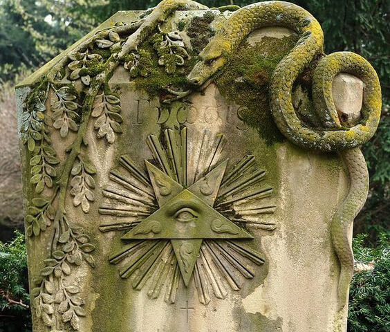 Snake
