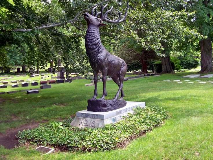 Stag