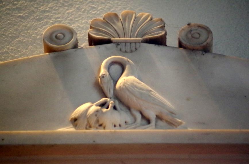 pelican